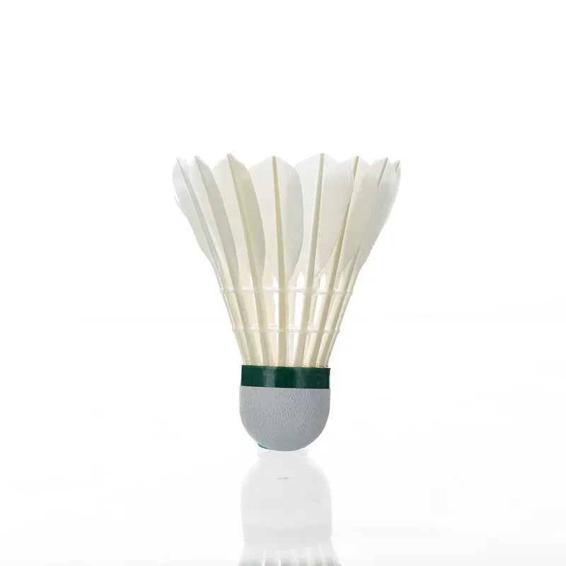 Kawasaki 8E Shuttlecock